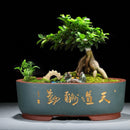 Purple Sand Simple Green Plant Large Ceramic Old Pile Flower Pot