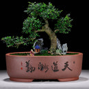 Purple Sand Simple Green Plant Large Ceramic Old Pile Flower Pot